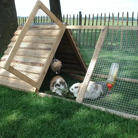 Farm stay De Bruine Beuk *